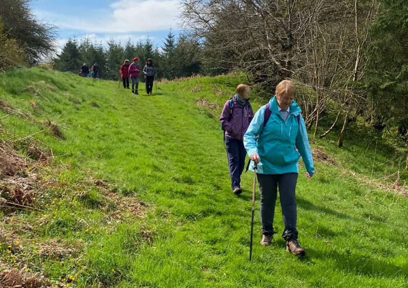 Photograph of Walking Route - Image 25