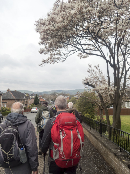 Photograph of Walking Route - Image 8