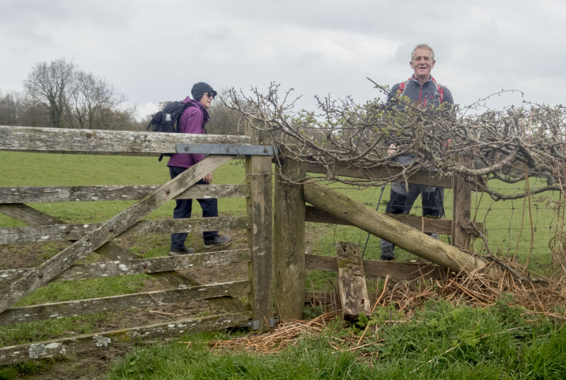 Photograph of Walking Route - Image 13