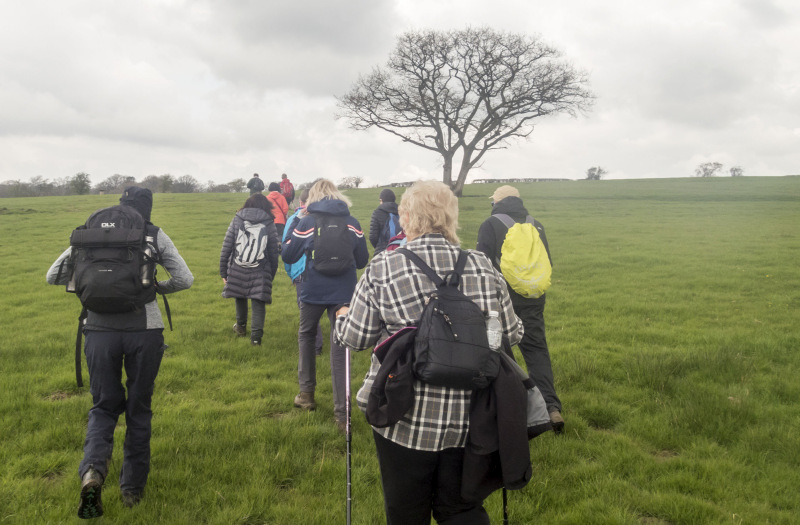 Photograph of Walking Route - Image 16