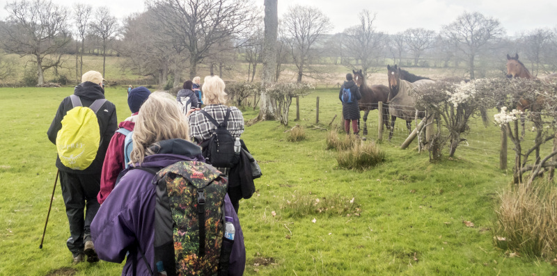 Photograph of Walking Route - Image 18