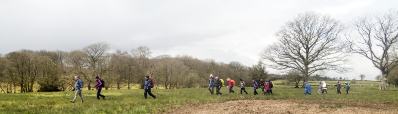 Photograph of Walking Route - Image 30