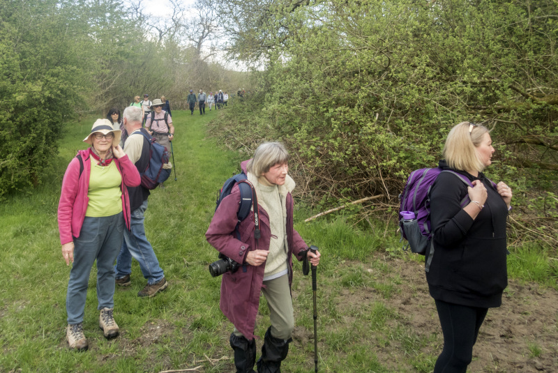 Photograph of Walking Route - Image 26