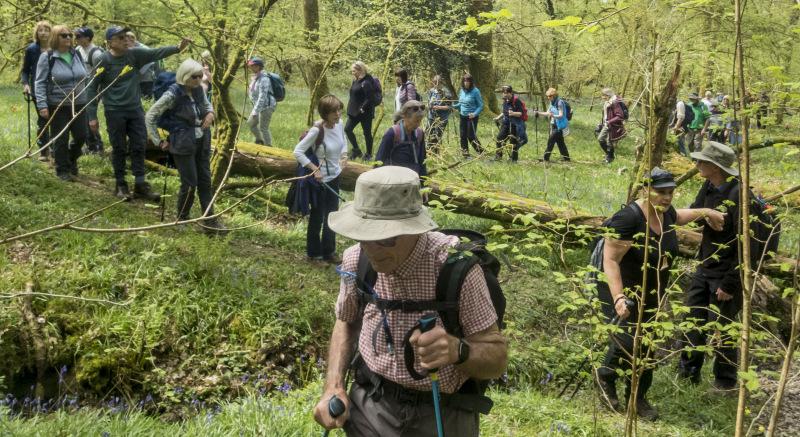 Photograph of Walking Route - Image 29