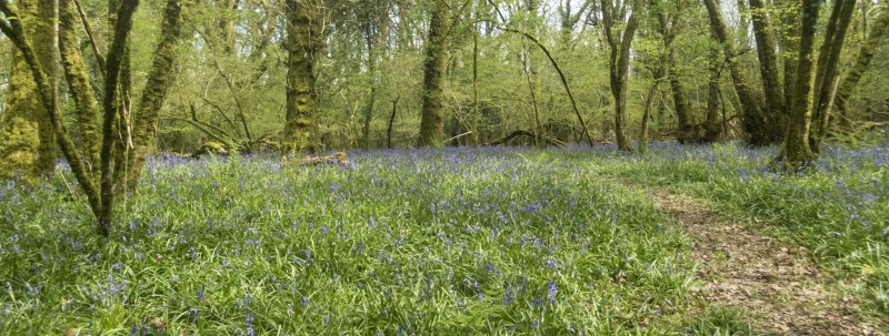 Photograph of Walking Route - Image 30