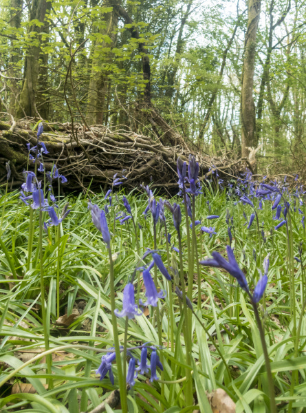 Photograph of Walking Route - Image 31