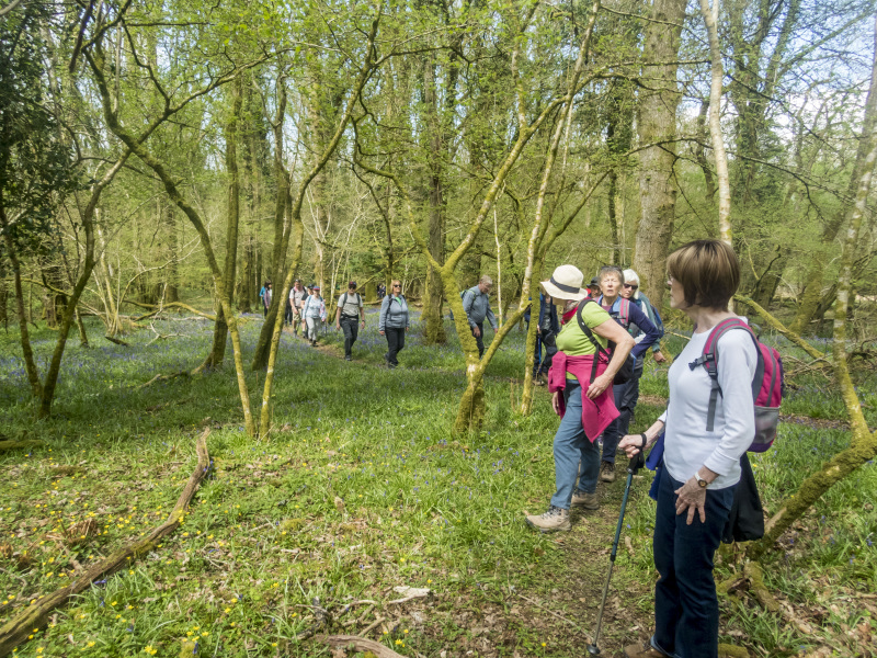 Photograph of Walking Route - Image 34