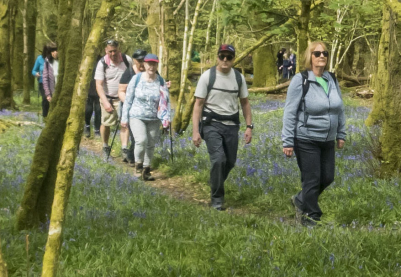 Photograph of Walking Route - Image 35