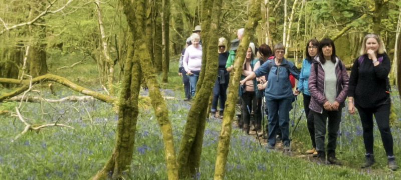 Photograph of Walking Route - Image 36