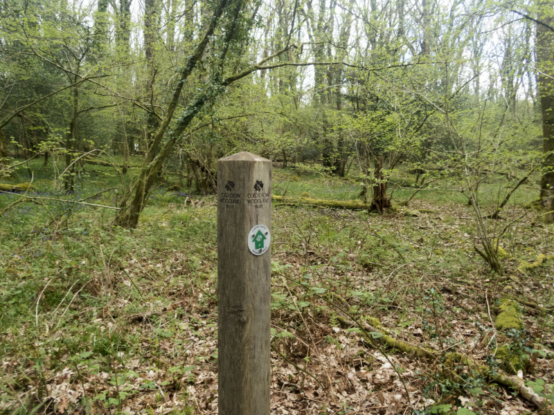 Photograph of Walking Route - Image 37