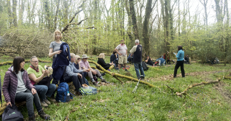 Photograph of Walking Route - Image 40