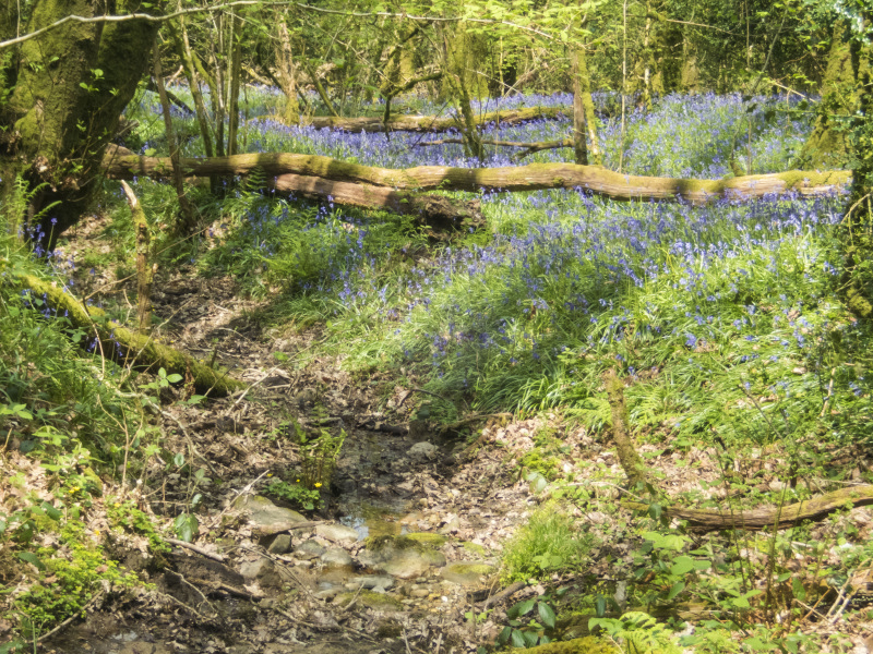 Photograph of Walking Route - Image 41