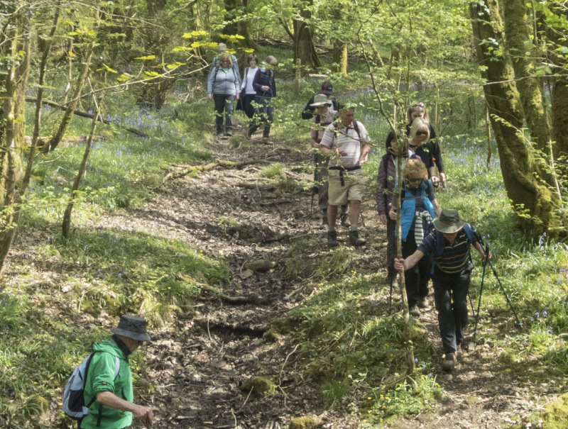 Photograph of Walking Route - Image 43