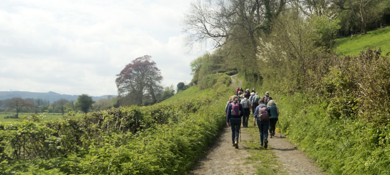 Photograph of Walking Route - Image 49