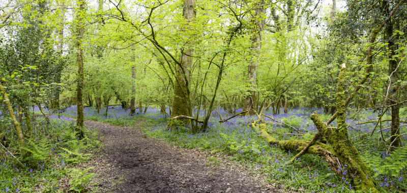 Photograph of Walking Route - Image 50