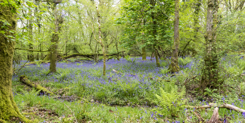 Photograph of Walking Route - Image 57