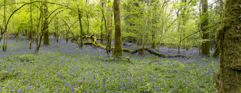 Photograph of Walking Route - Image 60