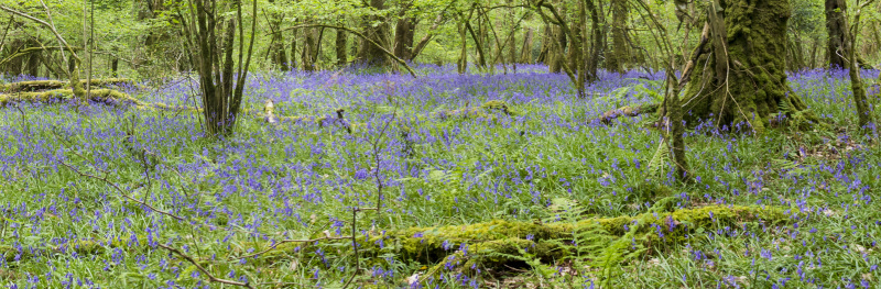 Photograph of Walking Route - Image 62