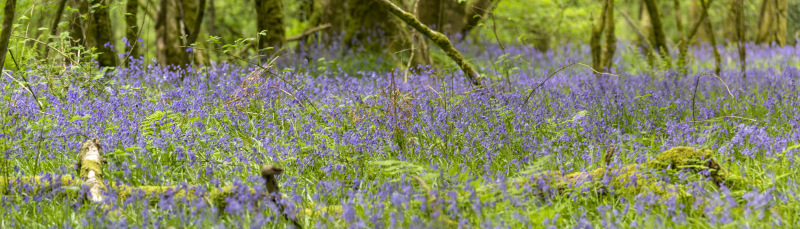 Photograph of Walking Route - Image 63