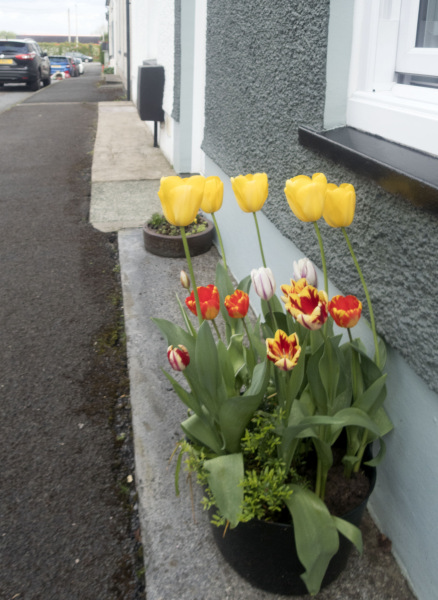 Photograph of Walking Route - Image 4