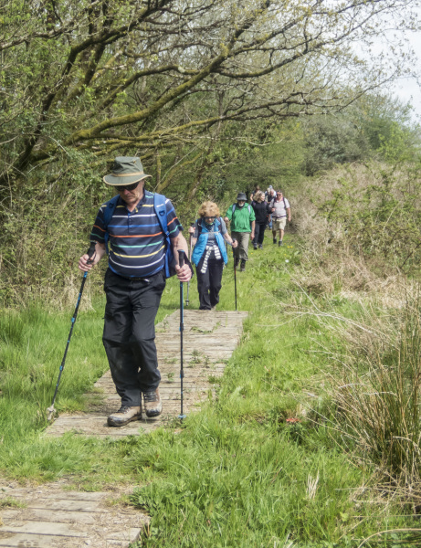 Photograph of Walking Route - Image 5