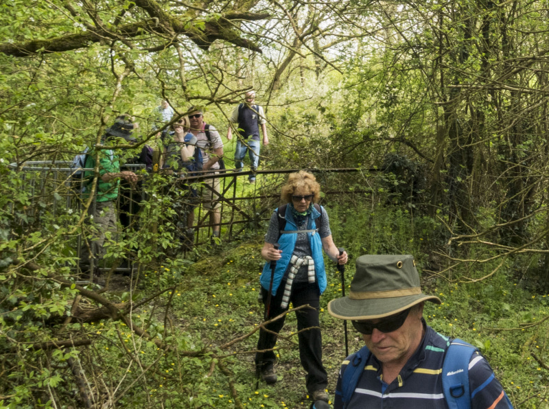 Photograph of Walking Route - Image 6