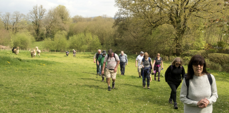 Photograph of Walking Route - Image 12