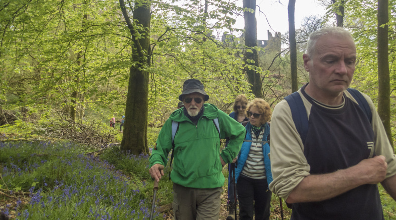 Photograph of Walking Route - Image 17