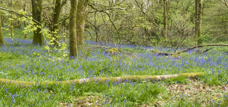 Photograph of Walking Route - Image 18