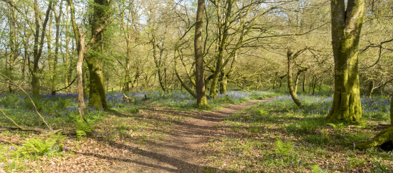 Photograph of Walking Route - Image 19