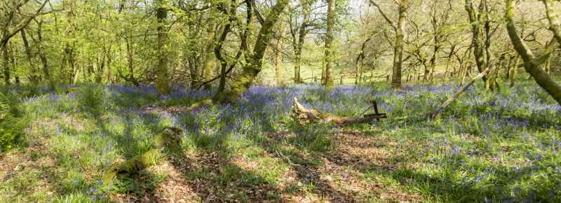 Photograph of Walking Route - Image 20