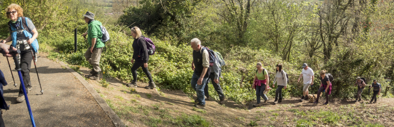 Photograph of Walking Route - Image 25