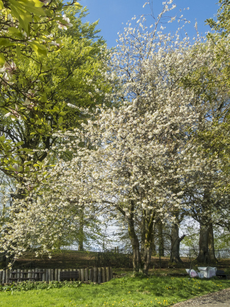 Photograph of Walking Route - Image 26