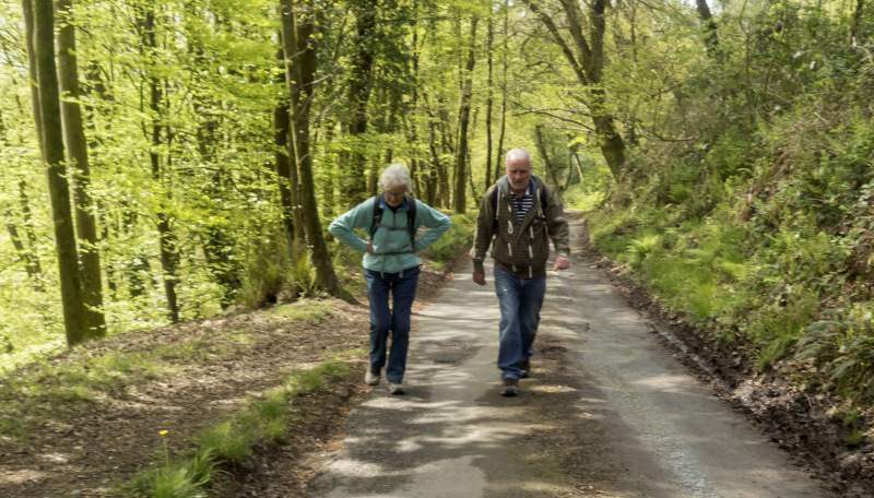 Photograph of Walking Route - Image 2