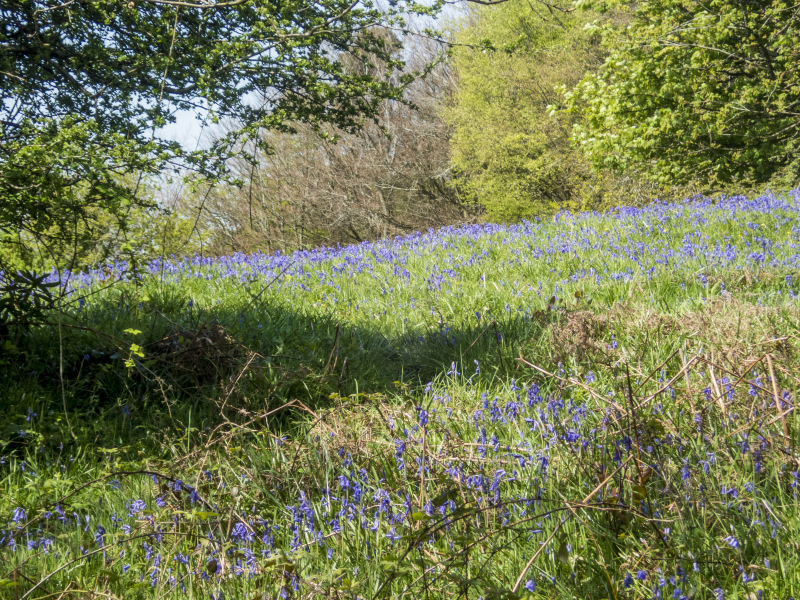 Photograph of Walking Route - Image 6