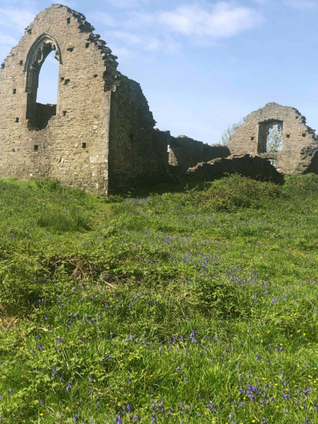 Photograph of Walking Route - Image 12