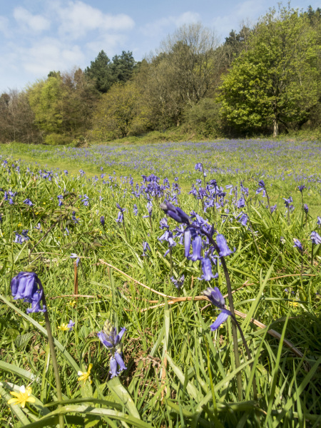 Photograph of Walking Route - Image 14