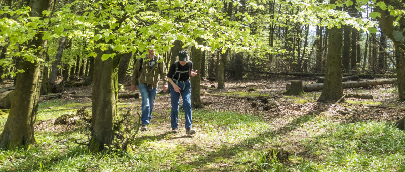 Photograph of Walking Route - Image 16