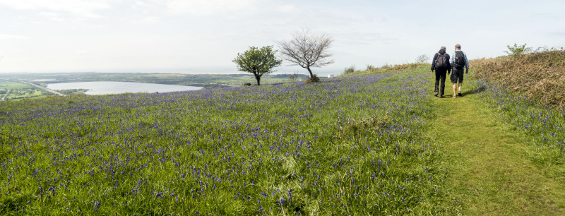 Photograph of Walking Route - Image 17