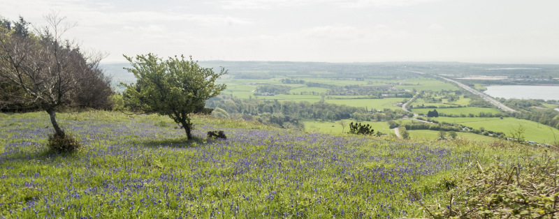 Photograph of Walking Route - Image 18