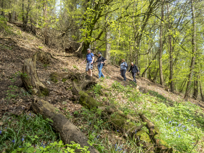 Photograph of Walking Route - Image 32