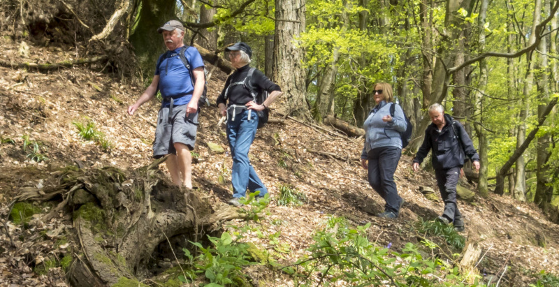 Photograph of Walking Route - Image 33