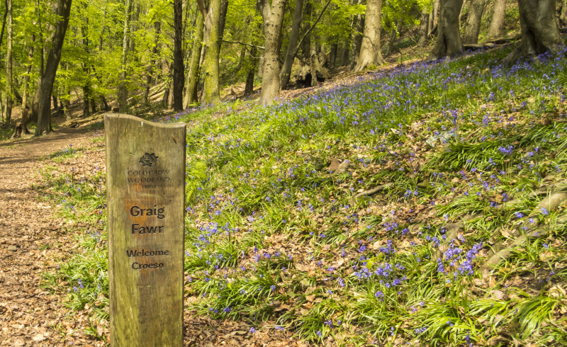 Photograph of Walking Route - Image 35