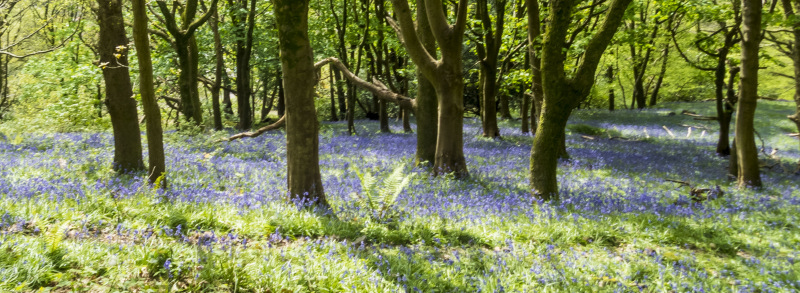 Photograph of Walking Route - Image 37