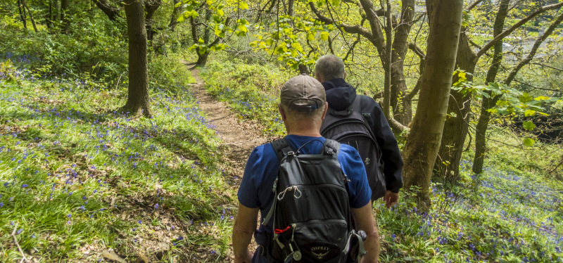 Photograph of Walking Route - Image 38