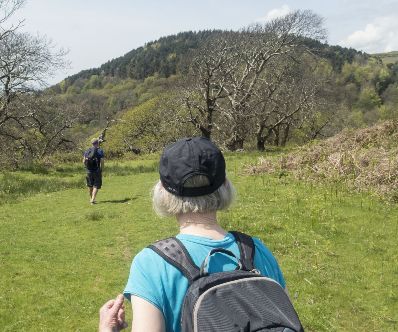 Photograph of Walking Route - Image 40