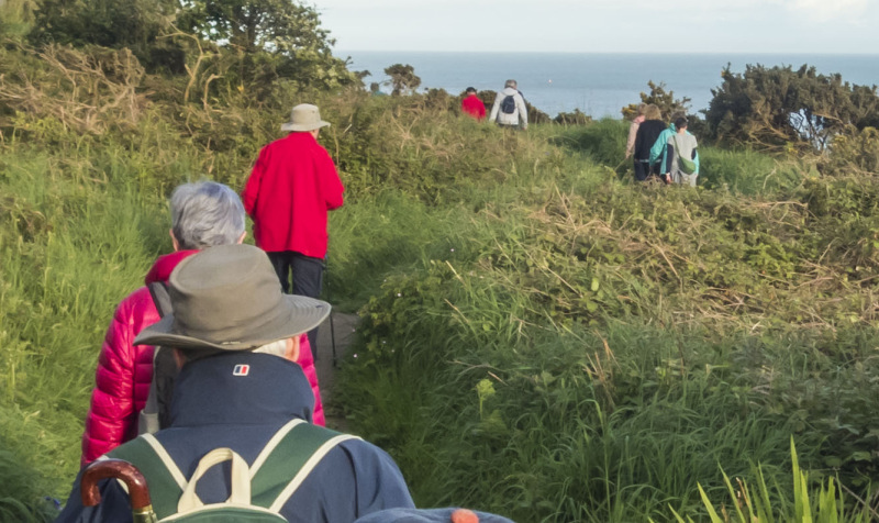 Photograph of Walking Route - Image 5