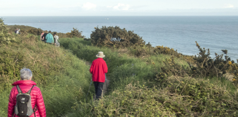 Photograph of Walking Route - Image 6