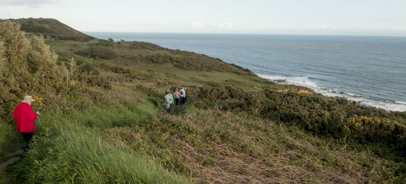 Photograph of Walking Route - Image 9