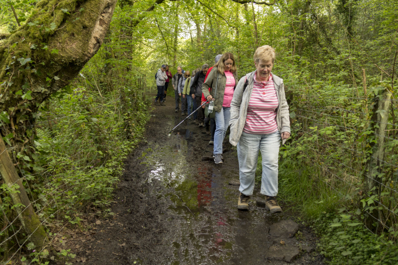 Photograph of Walking Route - Image 3